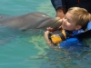 Swimming with the dolphins in Grand Cayman